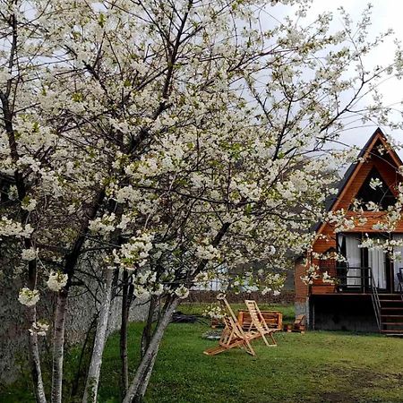 Thomas' Hut Apartment Казбеги Екстериор снимка