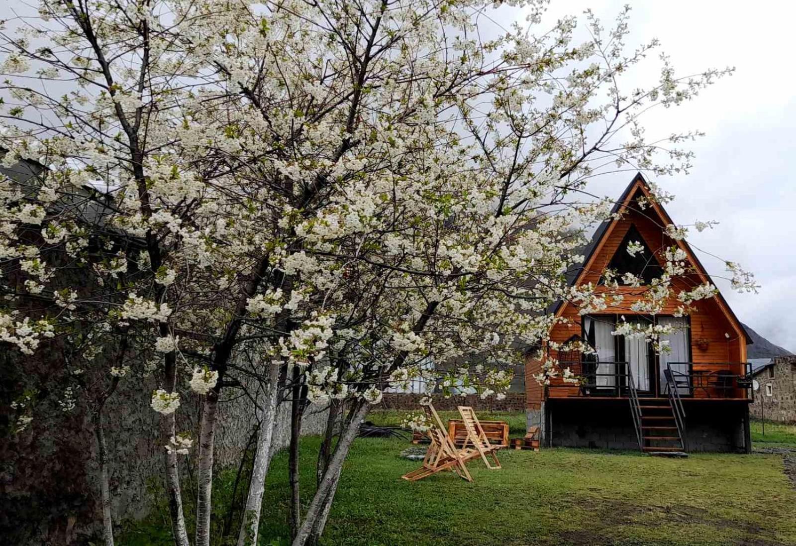 Thomas' Hut Apartment Казбеги Екстериор снимка